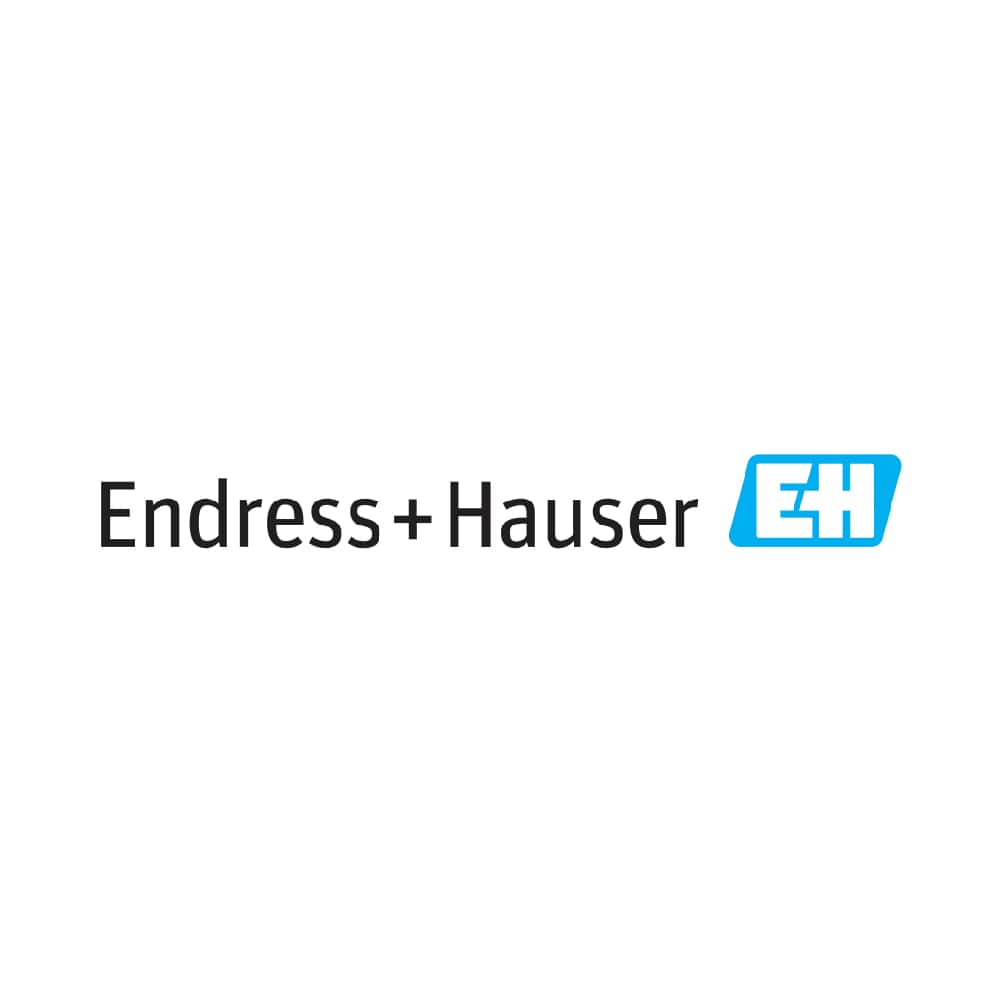 Endress+Hauser