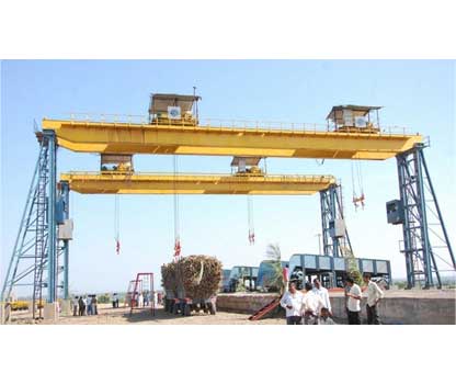 Cane Unloader Crane in Mumbai