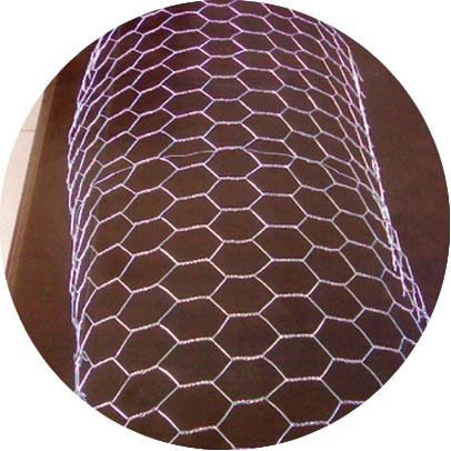 Duplex Steel 2205 Hexagonal Wire Mesh